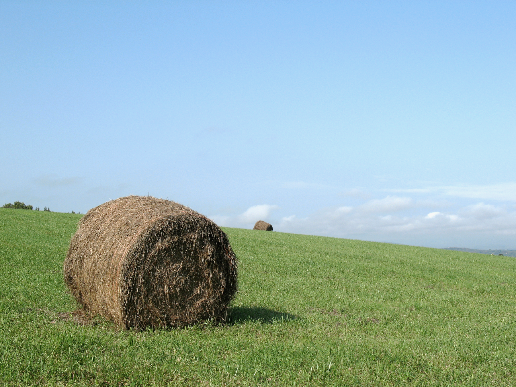 Hay Bale Color